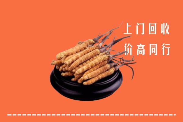 高价求购：长沙回收散虫草
