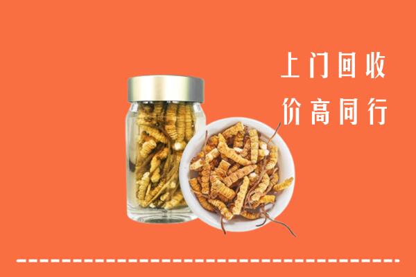 长沙回收冬虫夏草